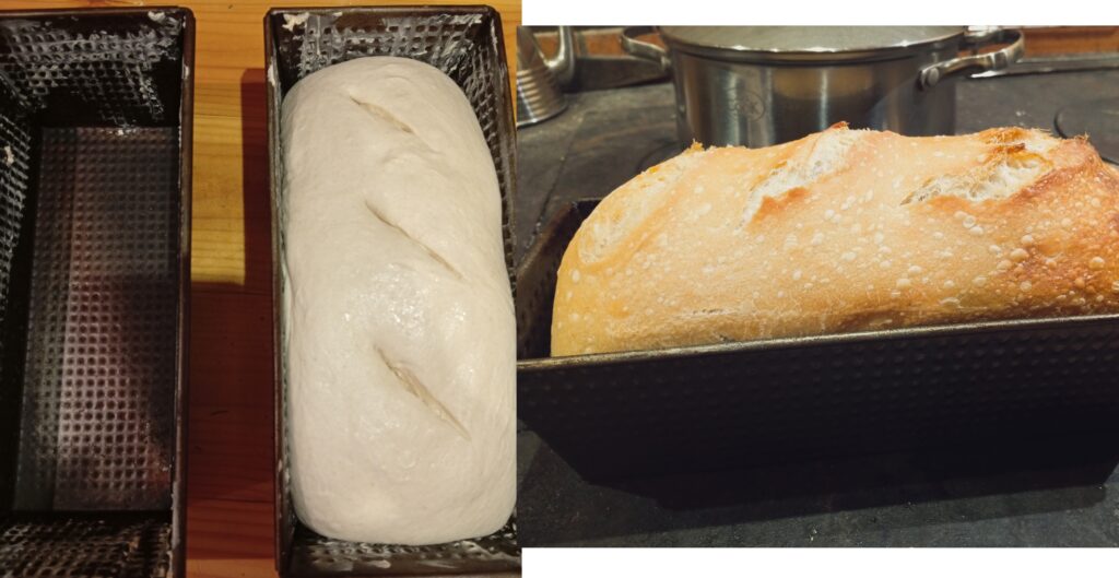 sourdough sandwitch bread